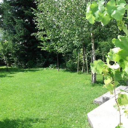 Sagzahnblick 1 Kundl